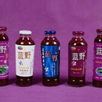 蓝莓野果汁瓶装系列